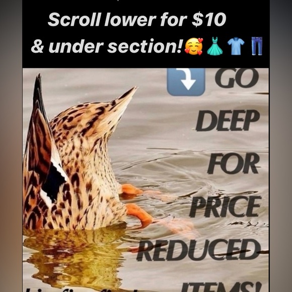 Visit the $10 & under section! Keep scrolling down! 🧚‍♀️ - Picture 1 of 1